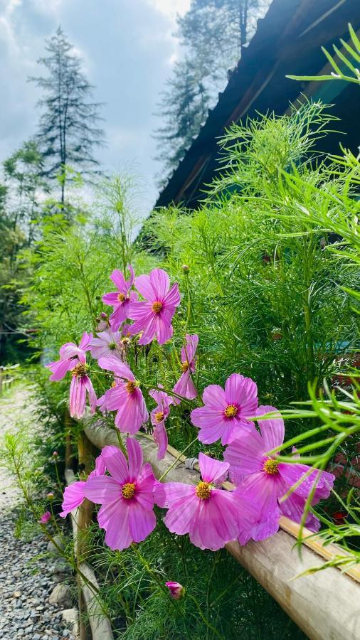 Himtrek Riverside Camps, Kasol Ngoại thất bức ảnh